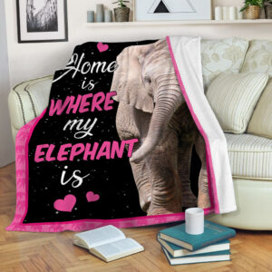 Home Is My Where My Elephant Is…