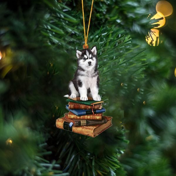 Husky-Sit On The Book Two Sides Christmas Plastic Hanging Ornament – Funny Ornament