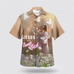 Jesus Is The True God Jesus And…