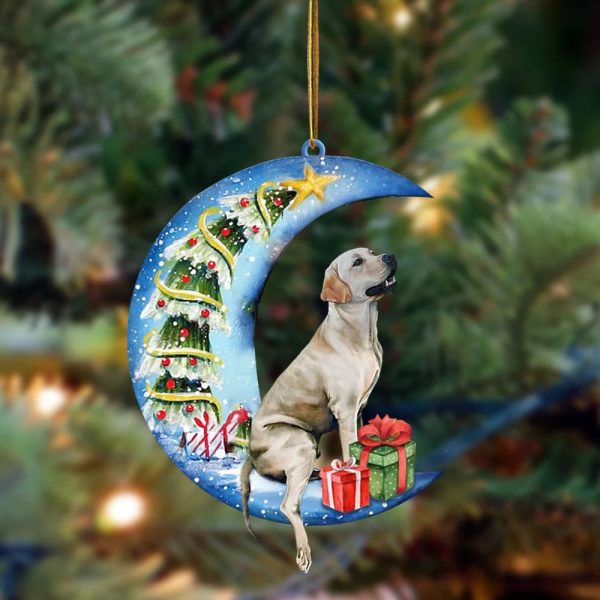 Labrador Retriever Sit On The Blue Moon-Two Sided Christmas Plastic Hanging Ornament