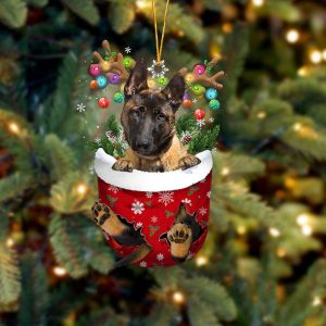 Malinois In Snow Pocket Christmas Ornament –…