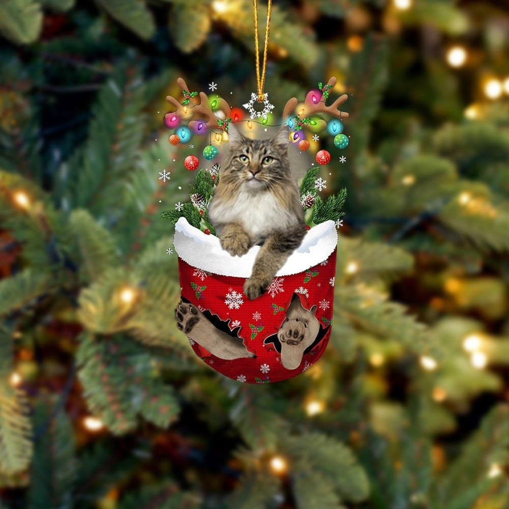 Norwegian Forest Cat In Snow Pocket Christmas Ornament – Flat Acrylic Cat Ornament Norwegian Forest Cat In Snow Pocket Christmas Ornament – Flat Acrylic Cat Ornament