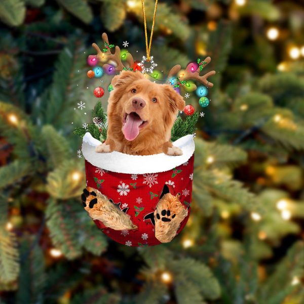 Nova Scotia Duck Tolling Retriever In Snow Pocket Christmas Ornament – Flat Acrylic Dog Ornament