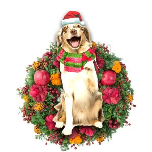 Pamaheart Australian Shepherd Christmas Ornament, Happy Christmas…