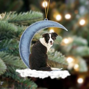 Pamaheart Border Collie Sits On The Moon…