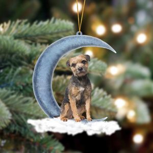 Pamaheart Border Terrier Sits On The Moon…