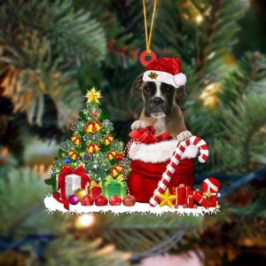 Pamaheart Boxer Gift Bag Merry Christmas Ornament…