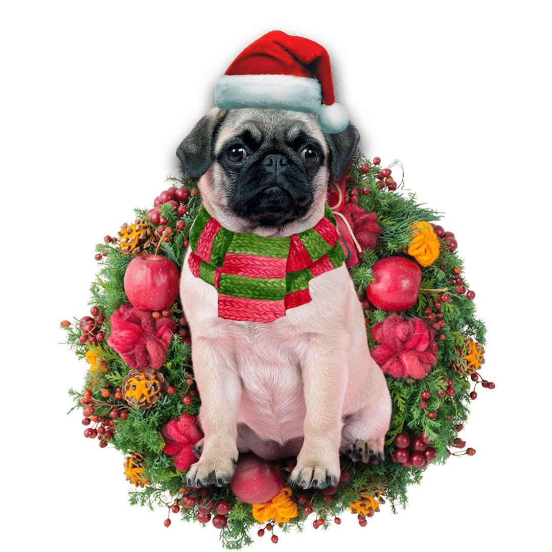 Pamaheart Chihuahua Pug Christmas Ornament, Happy Christmas Ornament, Car Ornament, Christmas Decor Pamaheart Chihuahua Pug Christmas Ornament, Happy Christmas Ornament, Car Ornament, Christmas Decor
