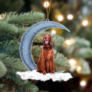 Pamaheart Irish Setter Sits On The Moon…