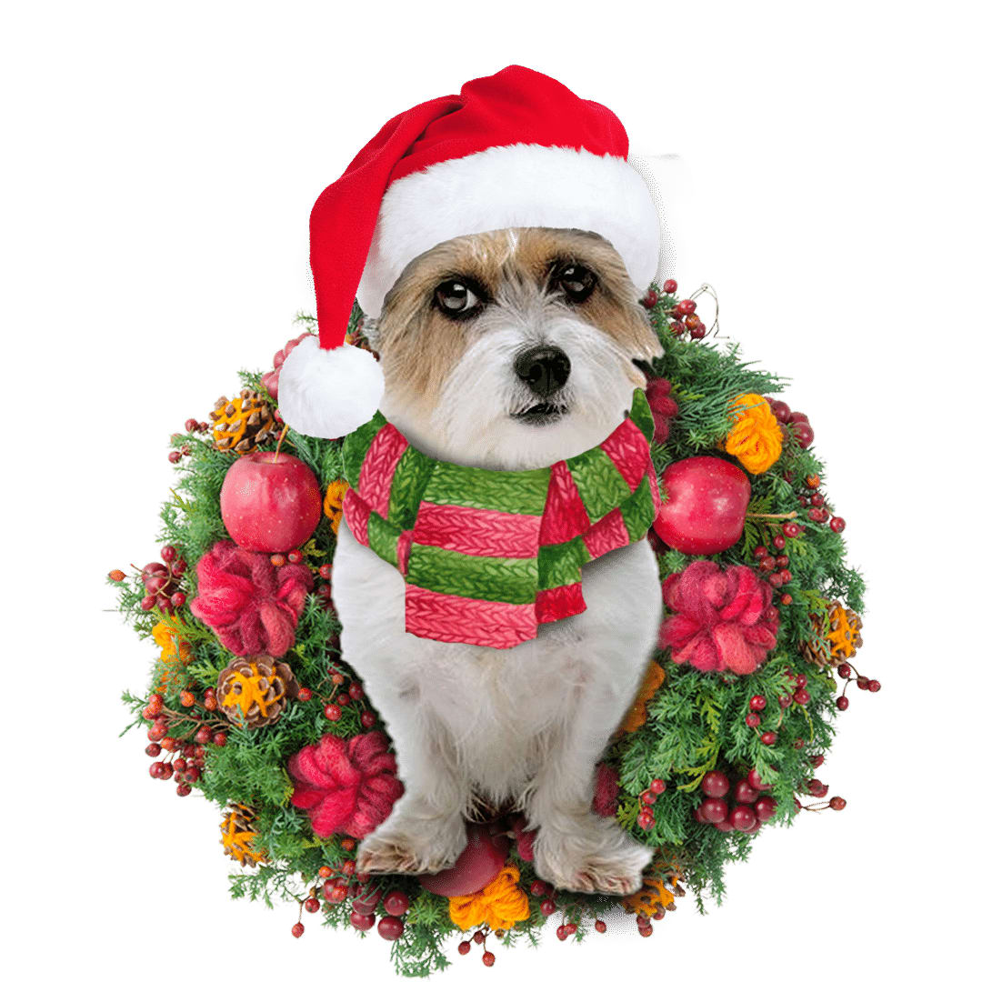 Pamaheart Jackapoo Christmas Ornament, Happy Christmas Ornament, Car Ornament, Christmas Decor Pamaheart Jackapoo Christmas Ornament, Happy Christmas Ornament, Car Ornament, Christmas Decor