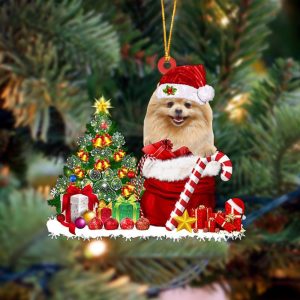Pamaheart Pomeranian Gift Bag Merry Christmas Ornament…