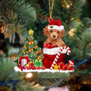 Pamaheart Poodle Gift Bag Merry Christmas Ornament…