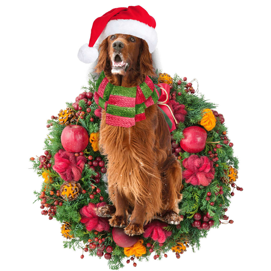 Pamaheart Red Setter Christmas Ornament, Happy Christmas Ornament, Car Ornament, Christmas Decor Pamaheart Red Setter Christmas Ornament, Happy Christmas Ornament, Car Ornament, Christmas Decor
