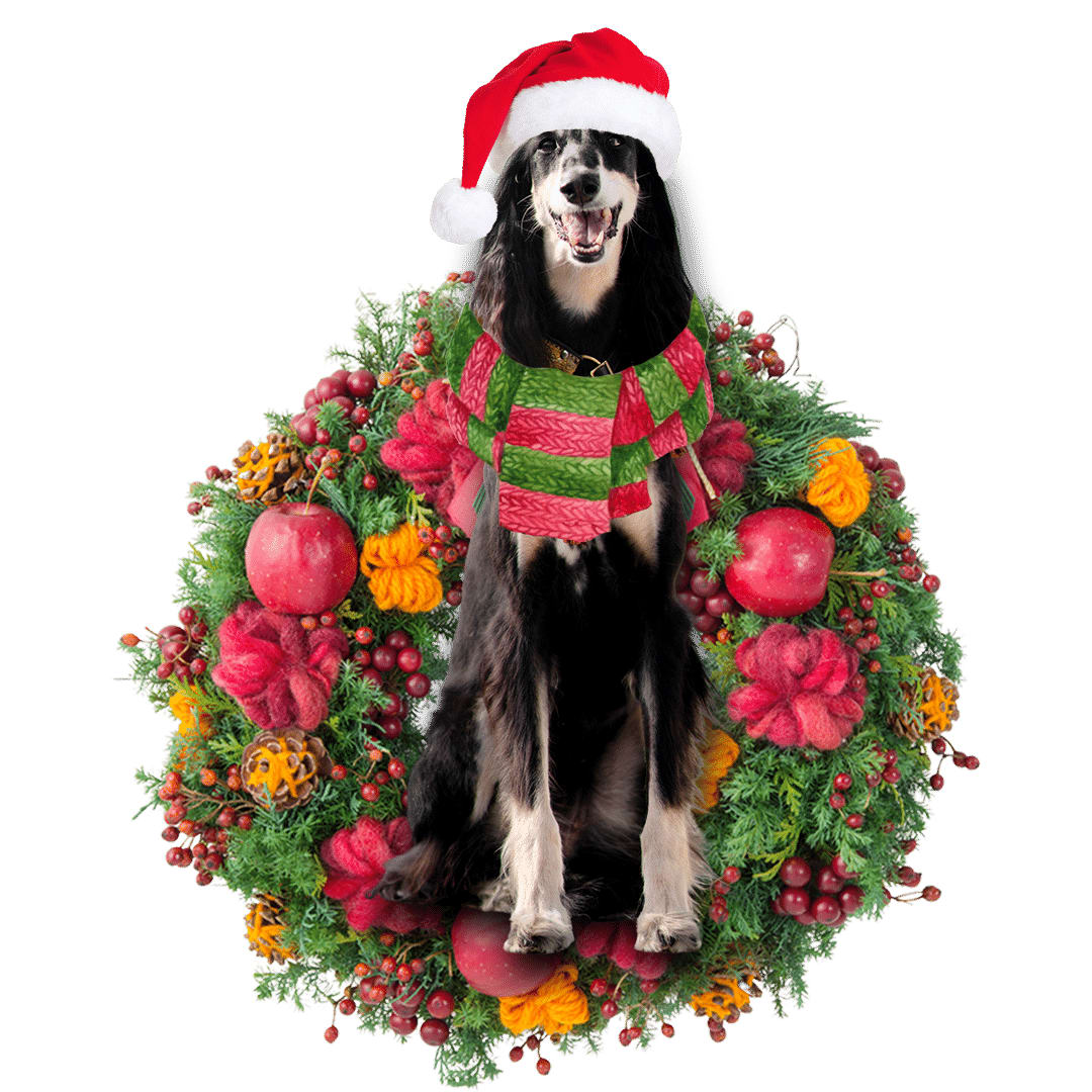 Pamaheart Saluki Christmas Ornament, Happy Christmas Ornament, Car Ornament, Christmas Decor Pamaheart Saluki Christmas Ornament, Happy Christmas Ornament, Car Ornament, Christmas Decor