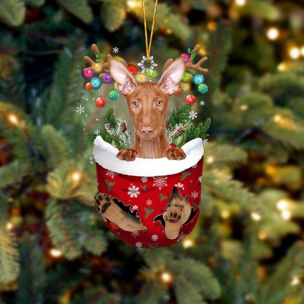 Pharaoh Hound In Snow Pocket Christmas Ornament Hanging Gift – Flat Acrylic Dog Ornament