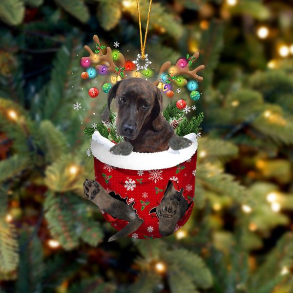 Plott Hound In Snow Pocket Christmas Ornament – Gifts For Pet Lovers – Flat Acrylic Dog Ornament