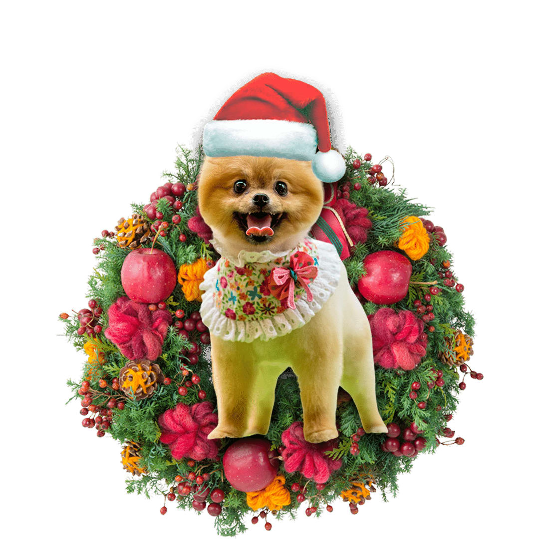 Pomeranian Christmas Christmas Plastic Hanging Ornament – 2022 Christmas Ornament Pomeranian Christmas Christmas Plastic Hanging Ornament – 2022 Christmas Ornament