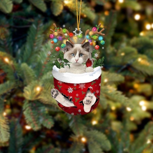 Ragdoll Cat In Snow Pocket Christmas Ornament – Gifts For Pet Lovers – Flat Acrylic Cat Ornament