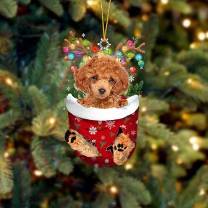 Red Toy Poodle In Snow Pocket Christmas…