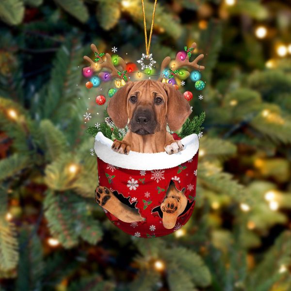 Rhodesian Ridgeback In Snow Pocket Christmas Ornament – Flat Acrylic Dog Ornament