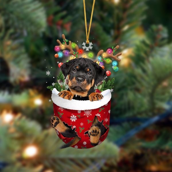 Rottweiler-In Christmas Pocket Two Sides Christmas Plastic Hanging Ornament