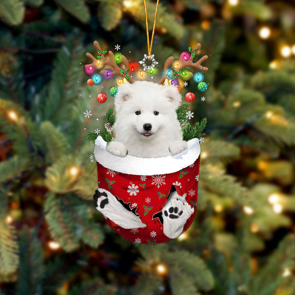Samoyed In Snow Pocket Christmas Ornament – Funny Ornament – Flat Acrylic Dog Ornament Samoyed In Snow Pocket Christmas Ornament – Funny Ornament – Flat Acrylic Dog Ornament