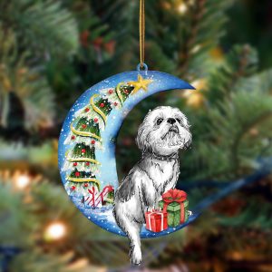 Shih Tzu Sit On The Blue Moon-Two…