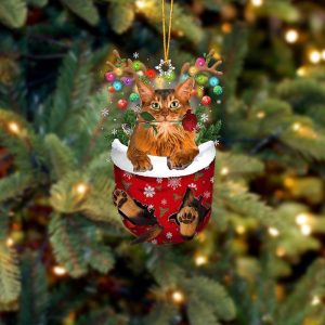 Somali Cat In Snow Pocket Christmas Ornament…