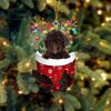 Spanish Water Dog In Snow Pocket Christmas Ornament – Flat Acrylic Dog Ornament
