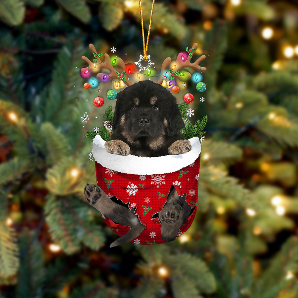 Tibetan Mastiff In Snow Pocket Christmas Ornament – Flat Acrylic Dog Ornament – Funny Ornament Tibetan Mastiff In Snow Pocket Christmas Ornament – Flat Acrylic Dog Ornament – Funny Ornament