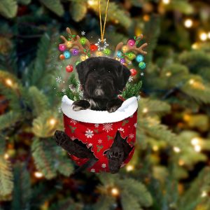 Tibetan Terrier In Snow Pocket Christmas Ornament…