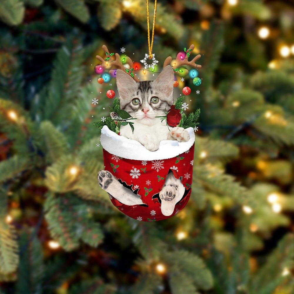Turkish Angora Cat In Snow Pocket Christmas Ornament – Flat Acrylic Cat Ornament Turkish Angora Cat In Snow Pocket Christmas Ornament – Flat Acrylic Cat Ornament