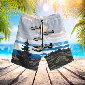 Usaf Illinois Air National Guard 169th Tactical…