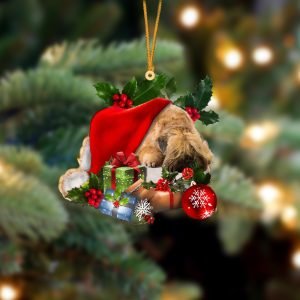 Wheaten Terrier-Sleeping In Hat Two Sides Christmas…