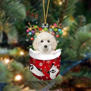 White Toy Poodle-In Christmas Pocket Two Sides…