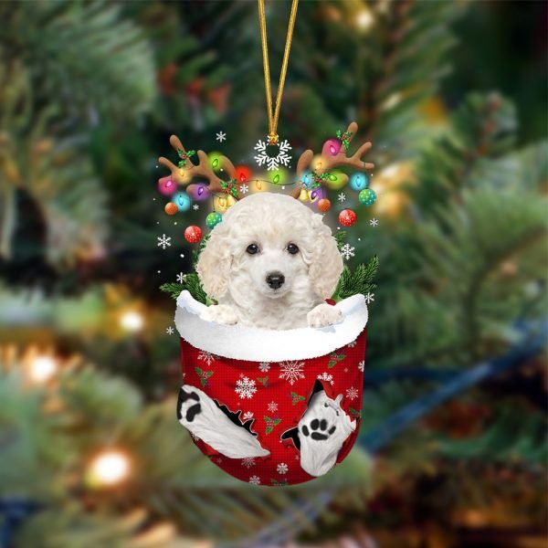 White Toy Poodle-In Christmas Pocket Two Sides Christmas Plastic Hanging Ornament