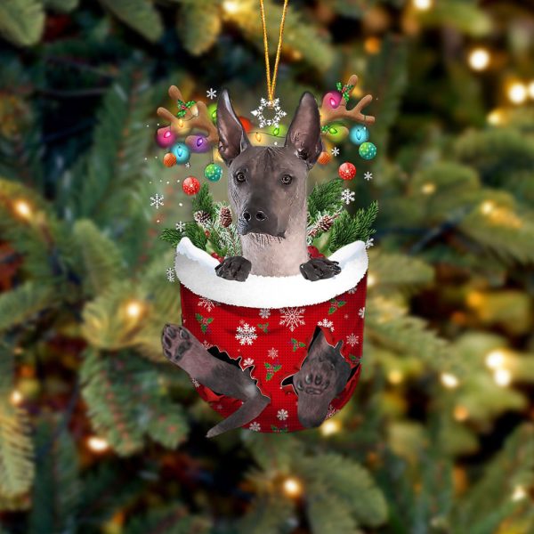 Xoloitzcuintli In Snow Pocket Christmas Ornament – Flat Acrylic Dog Ornament – Dog Memorial Gift