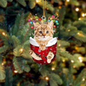Yellow Cat In Snow Pocket Christmas Ornament…