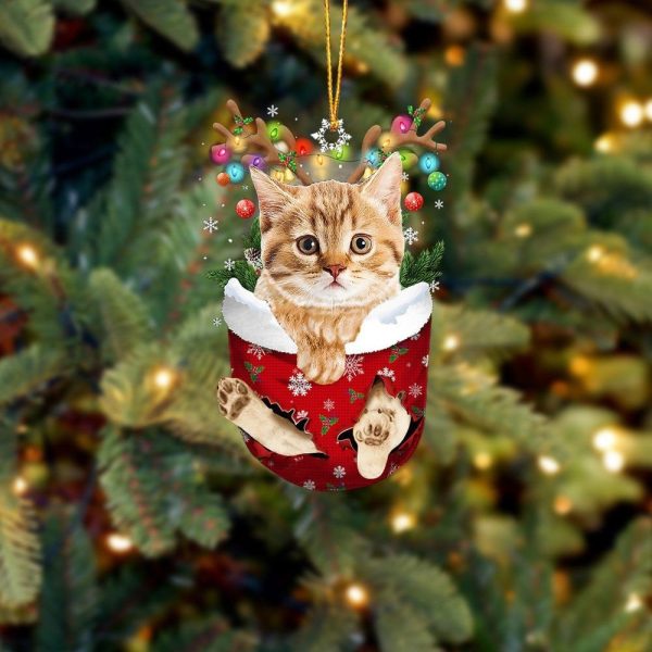 Yellow Cat In Snow Pocket Christmas Ornament – Flat Acrylic Cat Ornament – Funny Ornament