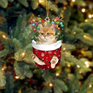 Yellow Cat In Snow Pocket Christmas Ornament - Flat Acrylic Cat Ornament - Funny Ornament
