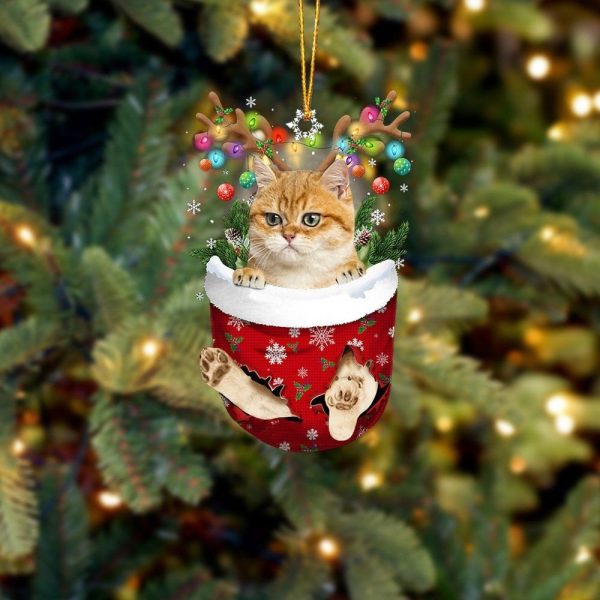 Yellow Cat In Snow Pocket Christmas Ornament – Flat Acrylic Cat Ornament – Funny Ornament