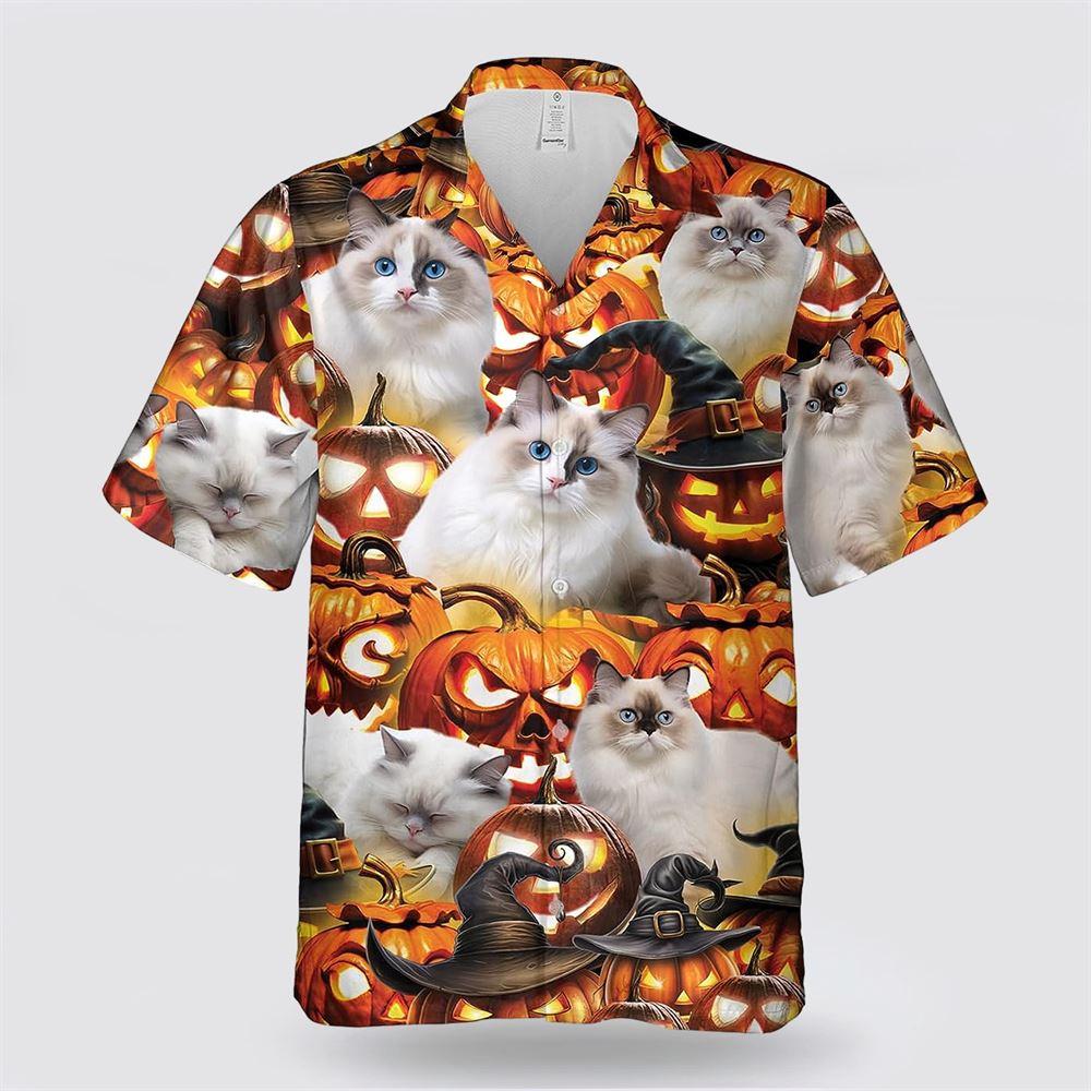Radoll Cat Sphynx Cat Halloween Pattern Hawaiian Shirt – Gift For Cat Lover Radoll Cat Sphynx Cat Halloween Pattern Hawaiian Shirt – Gift For Cat Lover