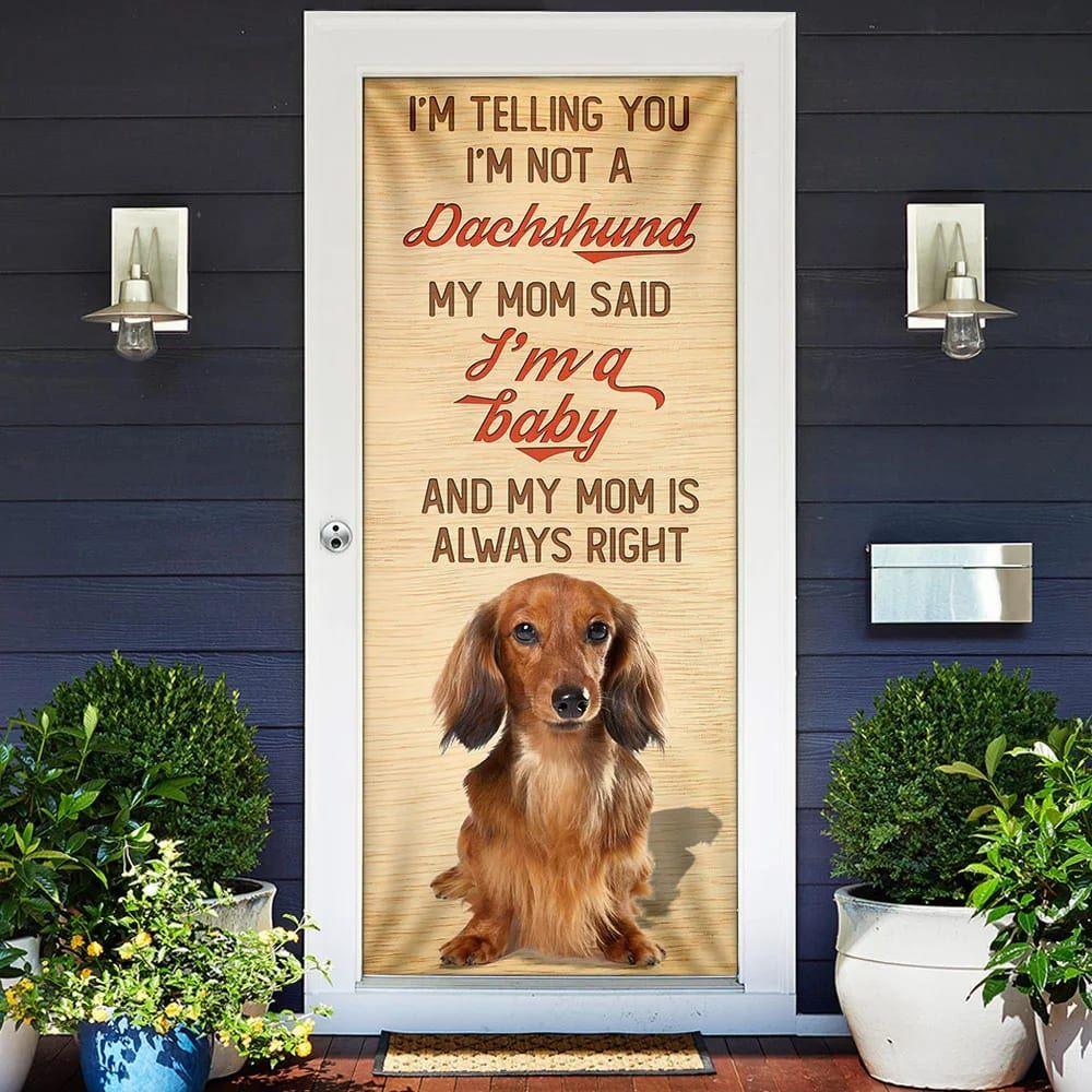 Christmas Door Cover, My Mom Said I’m A Baby Dachshund Door Cover, Christmas Gift For Dog Lover