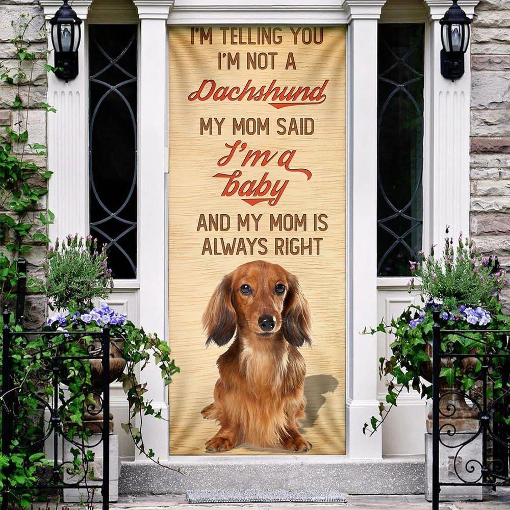 Christmas Door Cover, My Mom Said I’m A Baby Dachshund Door Cover, Christmas Gift For Dog Lover