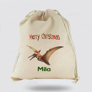 Personalised Christmas Sack Canvas Sack With Dino Text And Flying Santa Hat Dinosaur Xmas Santa Sacks Christmas Bag Gift 1 c7m5of.jpg