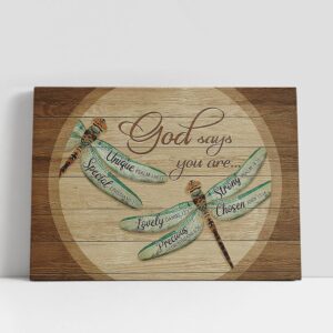 Christian Canvas Wall Art, Dragonfly God says…
