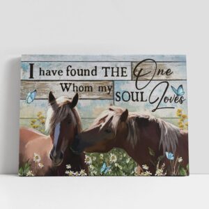 Christian Canvas Wall Art, I Have Found…
