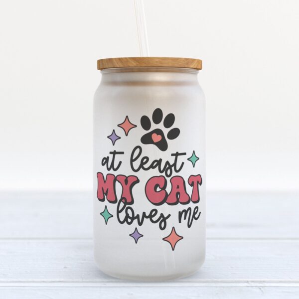 Frosted Glass Can, Valentine Gift, At Least My Cat Loves Me Frosted Glass Can Tumbler