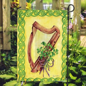 St Patrick’s Flag, Celtic Harmony Illuminated House…