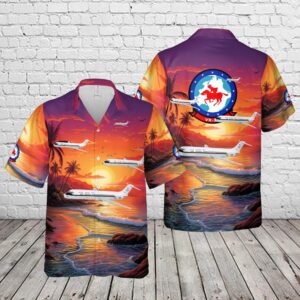 Us Navy Hawaiian Shirt, US Navy C-9…